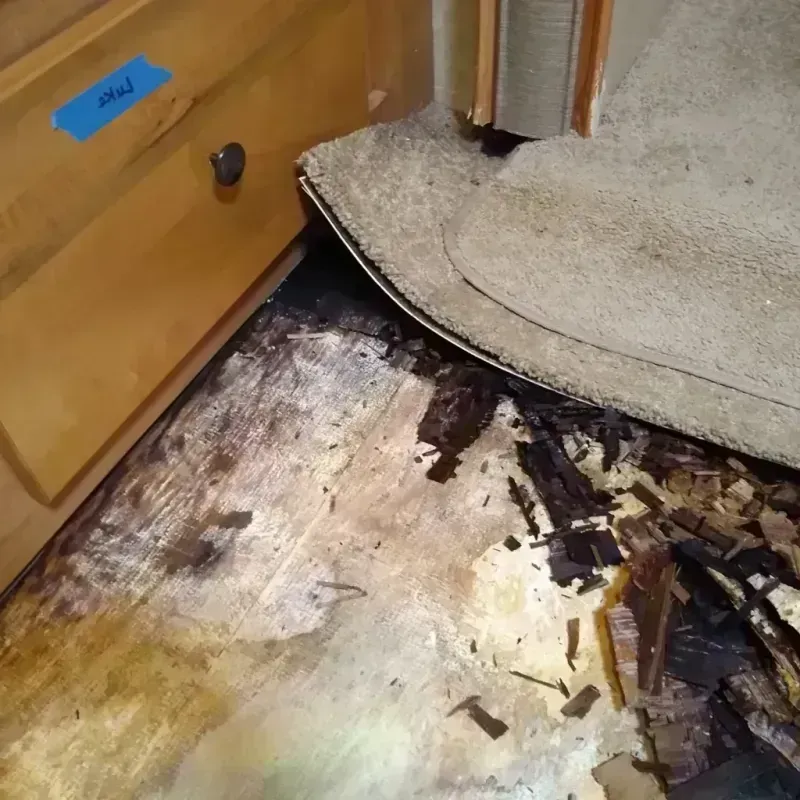 Wood Floor Water Damage in Pharr, TX